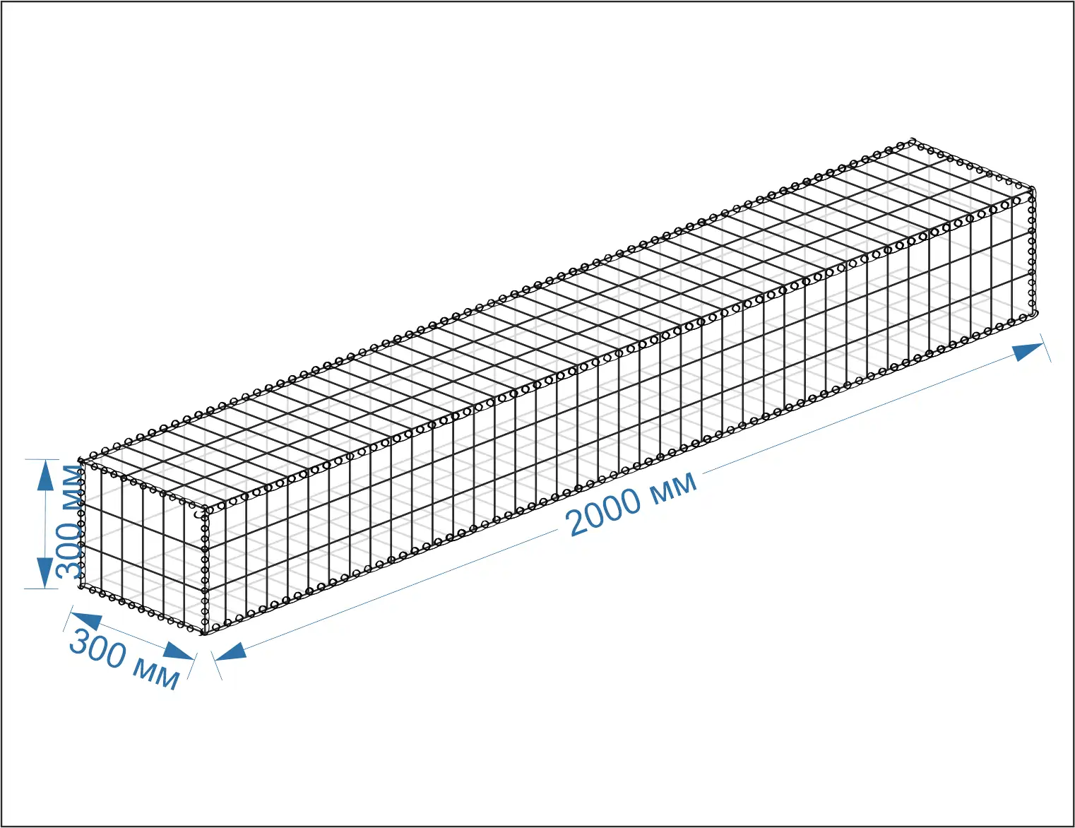 габион 2000х300х300 мм